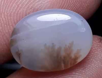 7.8ct Natural Dendritic Agate - Shajri Aqeeq -17x14mm