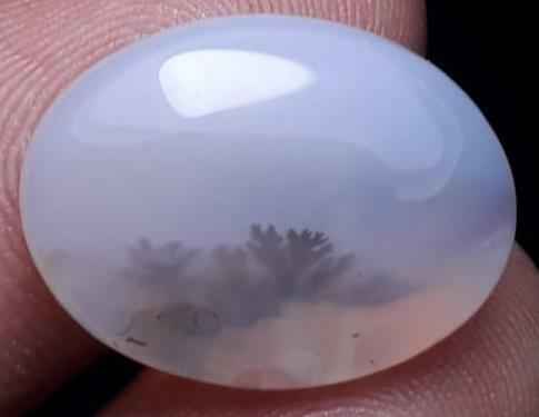 12.4ct Natural Dendritic Agate - Shajri Aqeeq -21x16mm