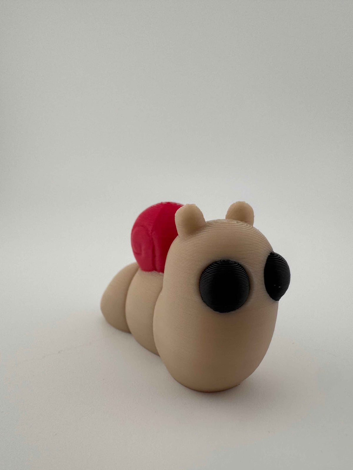 Snail Fidget - Slow, steady and fun