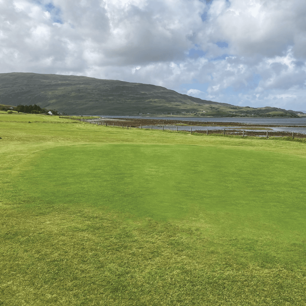 PM 90 Coastal – Salt‑Tolerant Grass Seed Mix for Coastal Sites & Exposed Landscapes