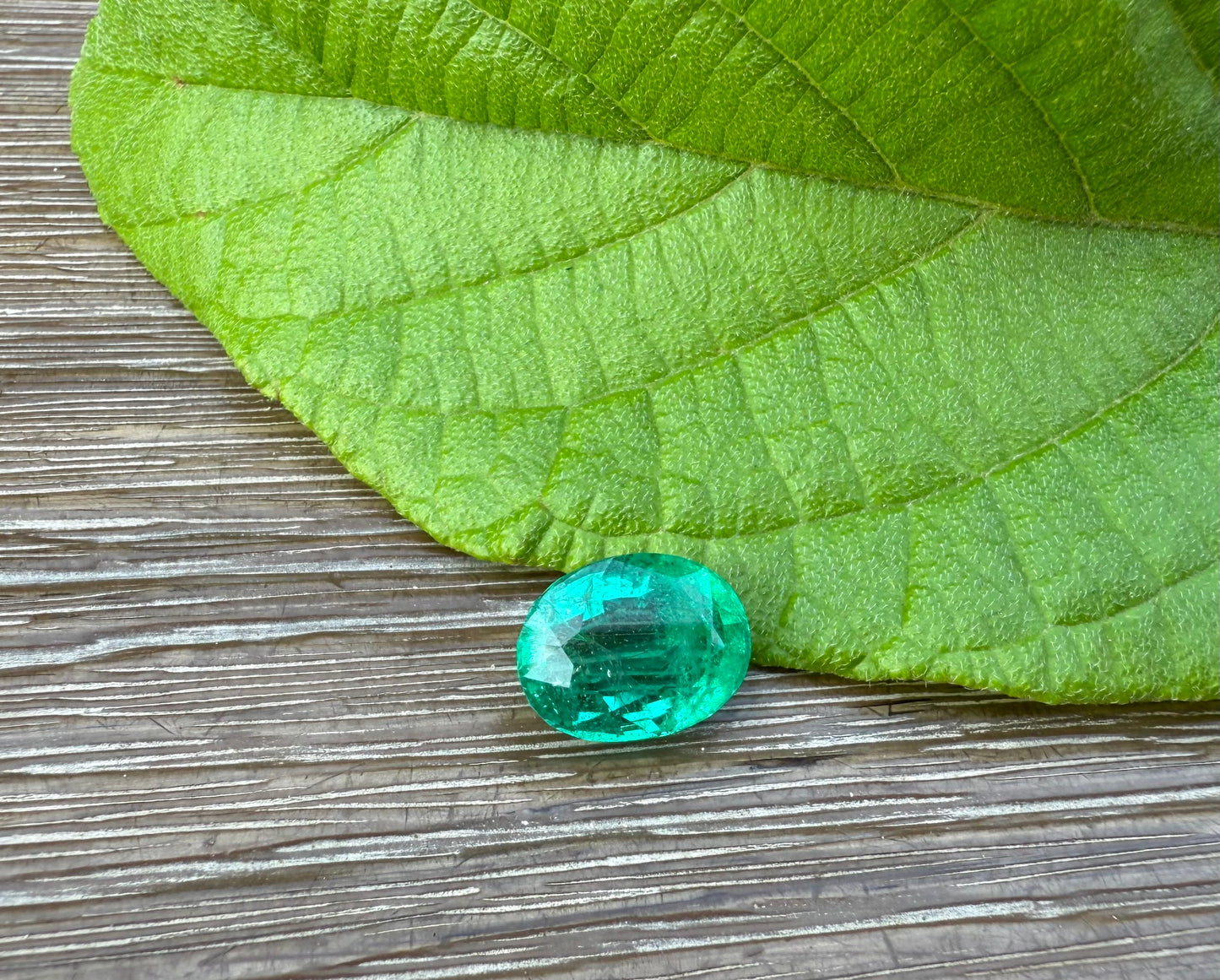 5.97ct Natural Emerald - Budh Ratna - Zamurd - Pachu Stone, Markat Mani Stone - 13x9.6x6.8mm