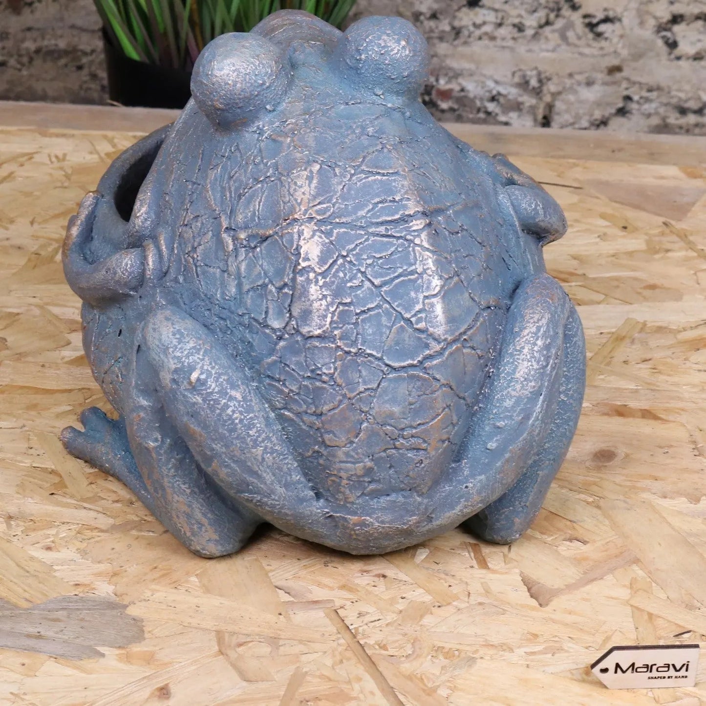 Bari Frog Planter