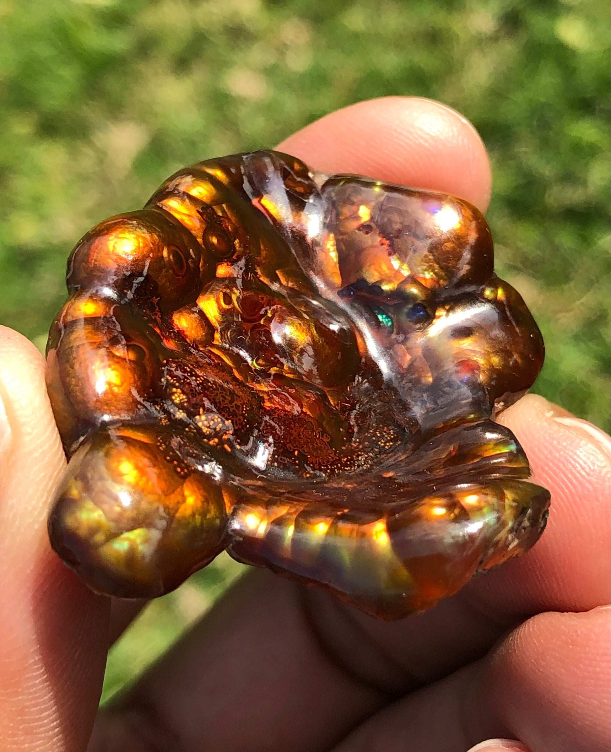 95ct Big Size Rare Fire Agate Carving - Collector Gemstone