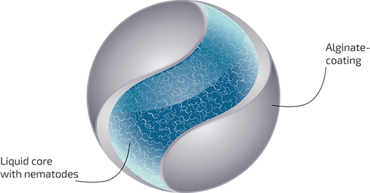 Nematode Slow Release Pearls for Fungus Gnats and Thrips pupae