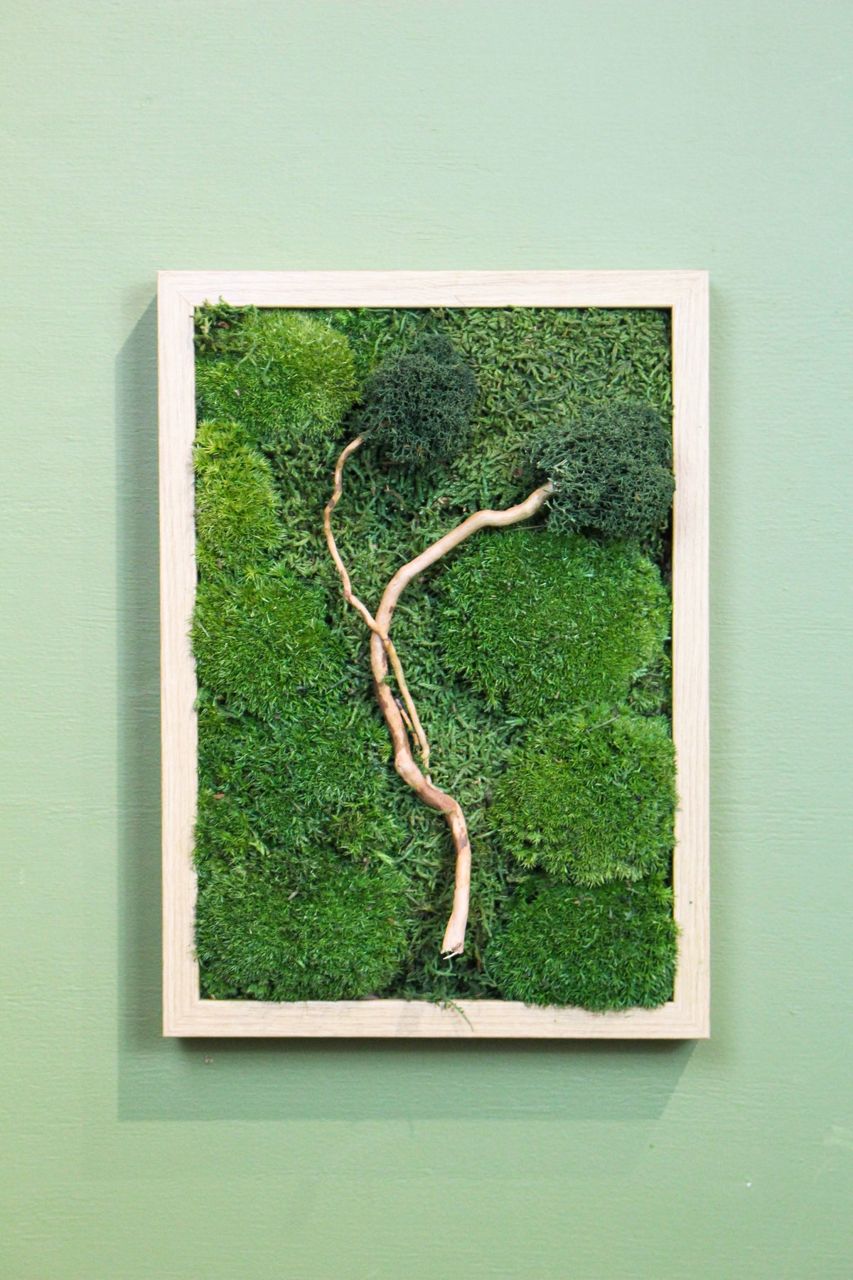 Preserved Moss Art - Zen (Wooden Frame) A4