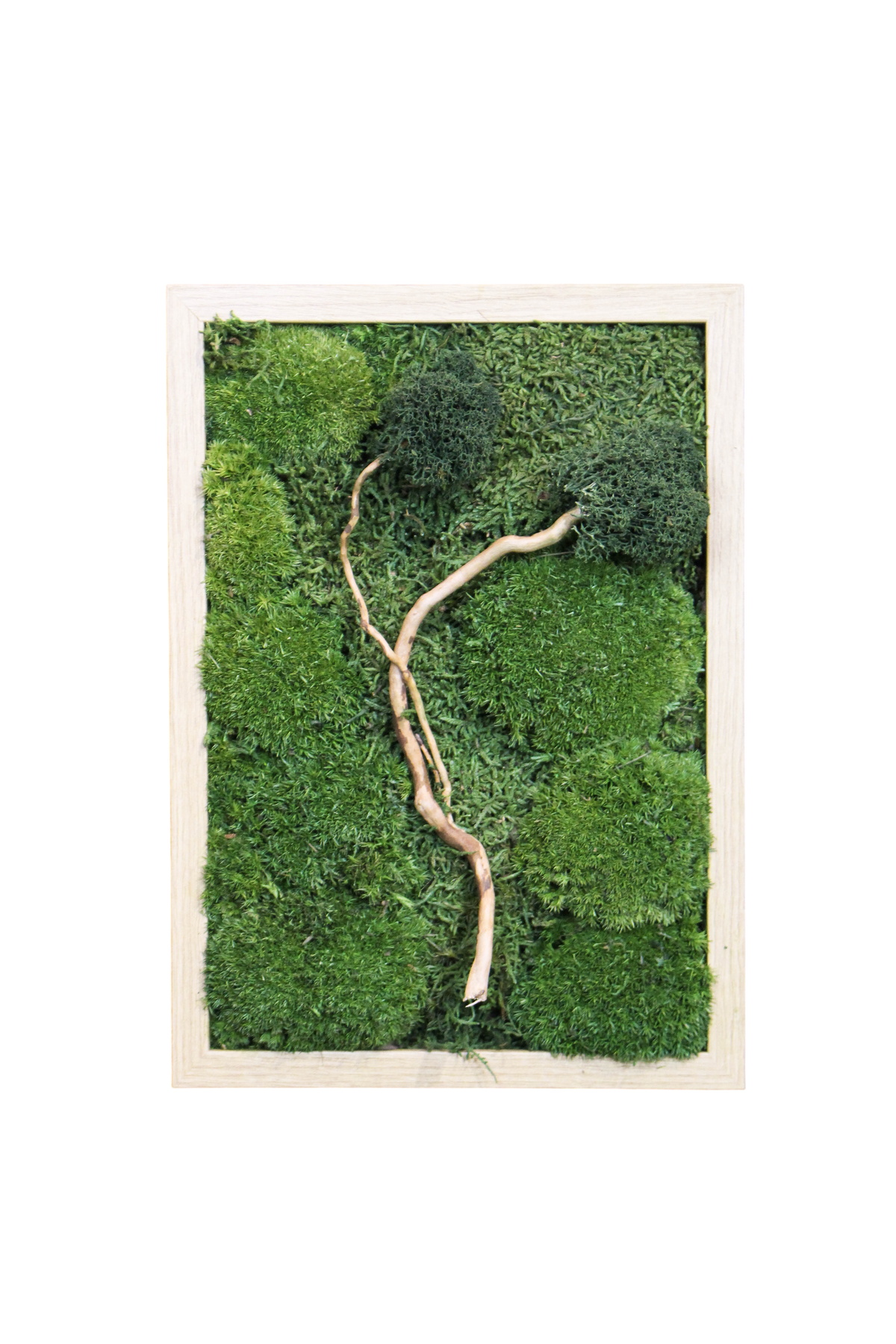 Preserved Moss Art - Zen (Wooden Frame) A4