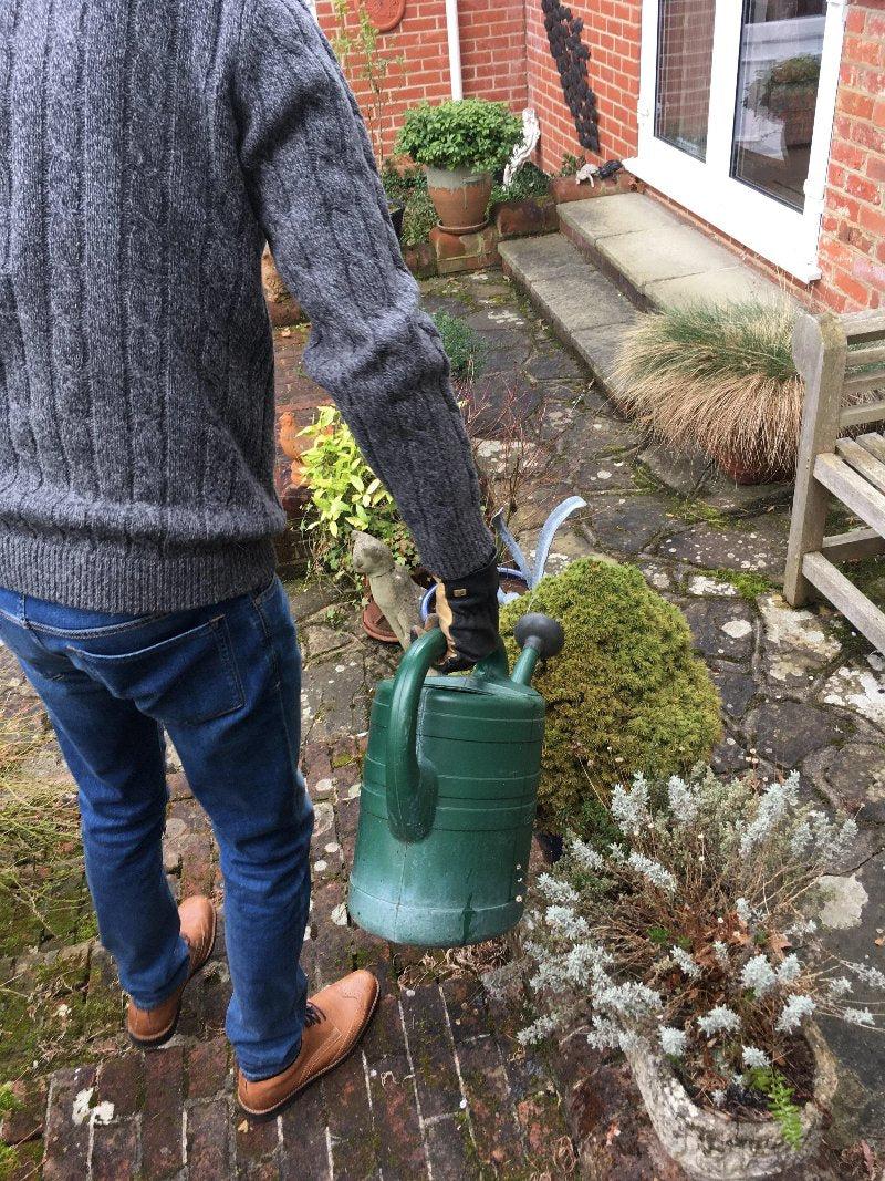 Slug Control Nematodes 100 sqm