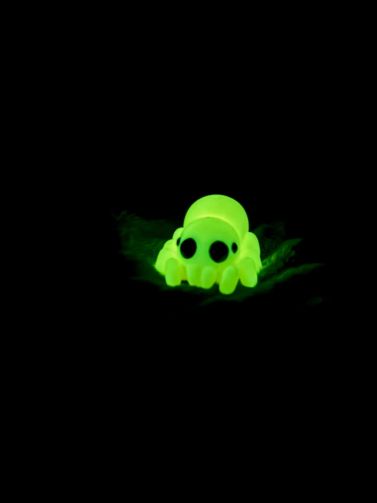 Spider Fidget - Web of cuteness