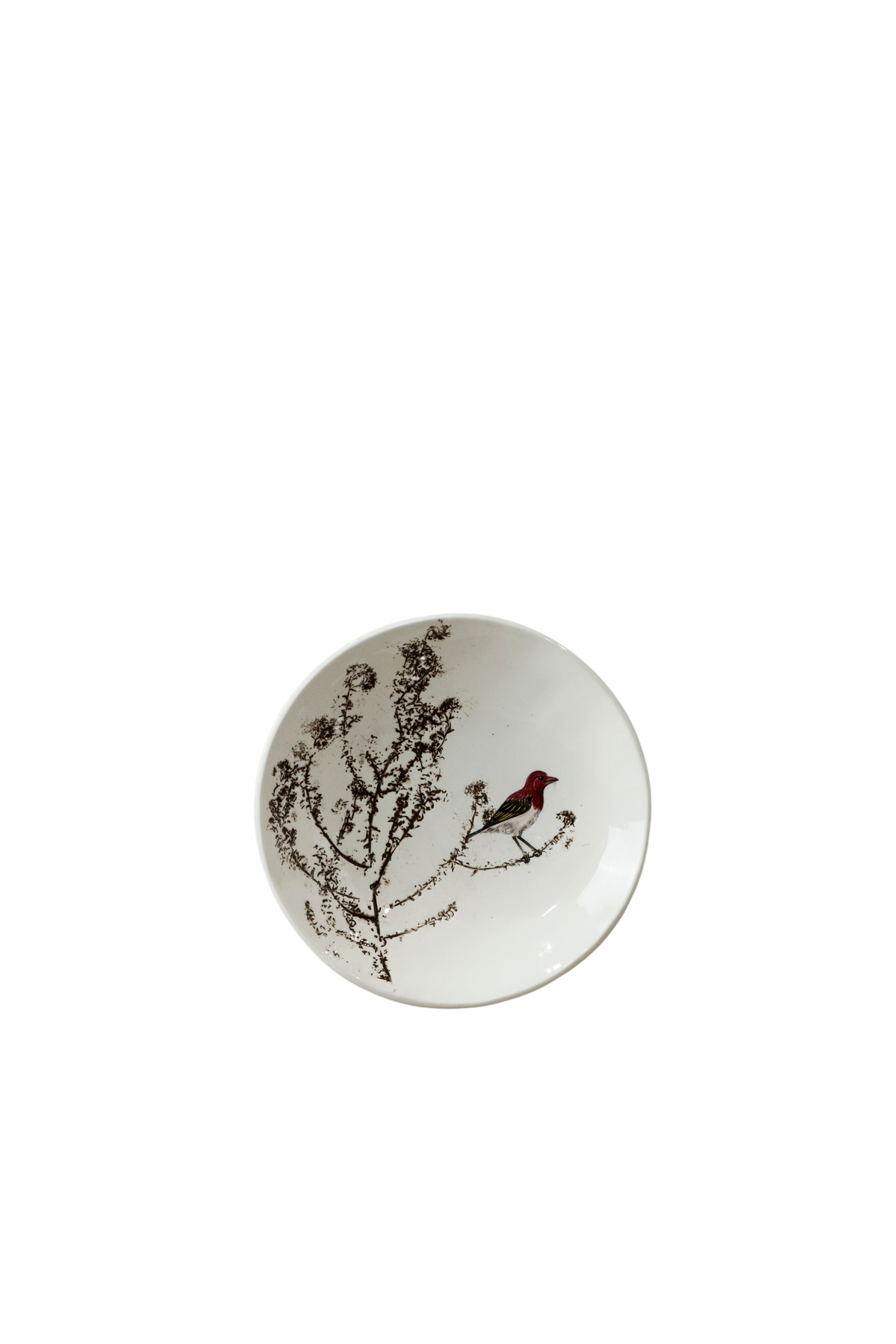 Fynbos & Bird ceramic plate n°19