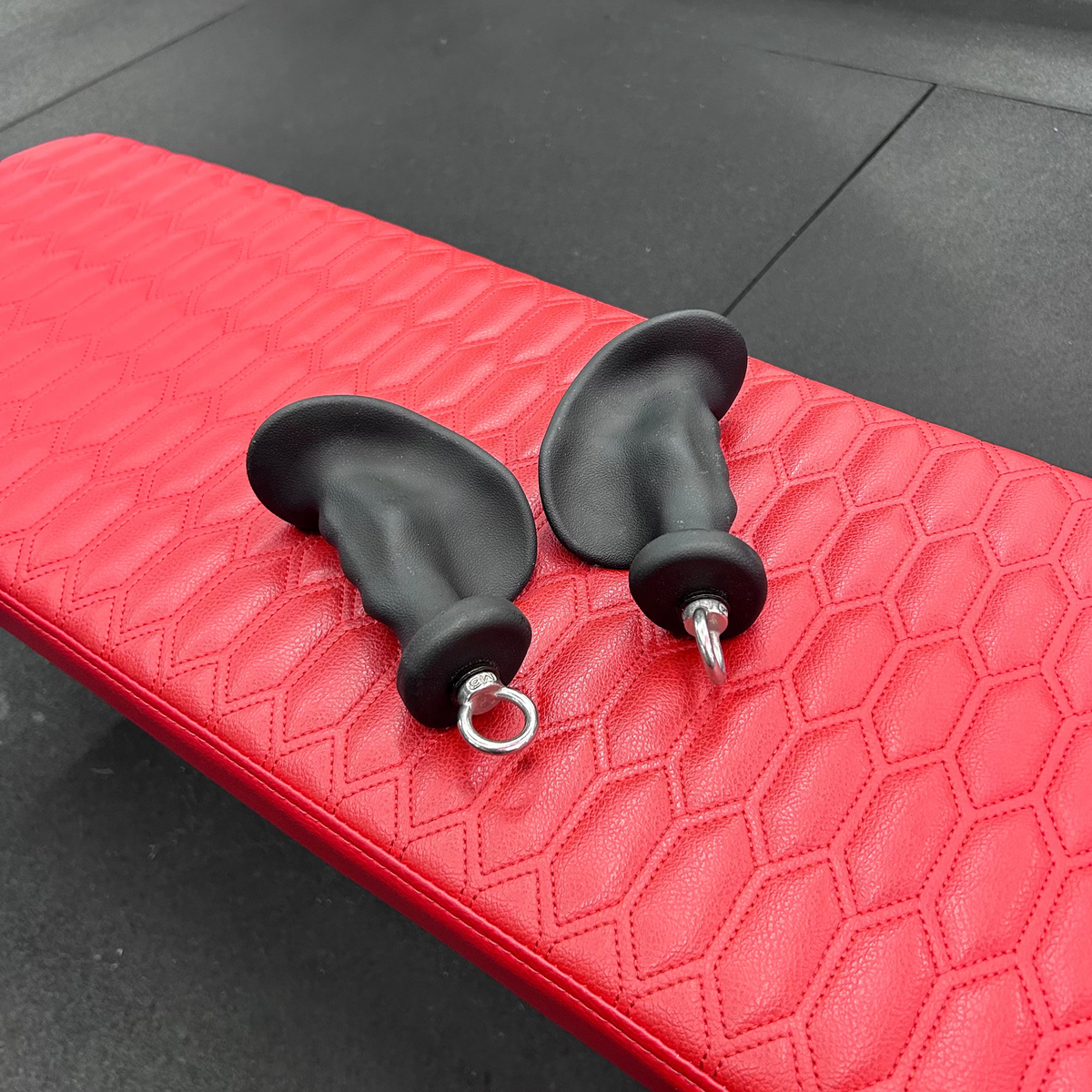 GymPin Ergo Handles (PAIR)