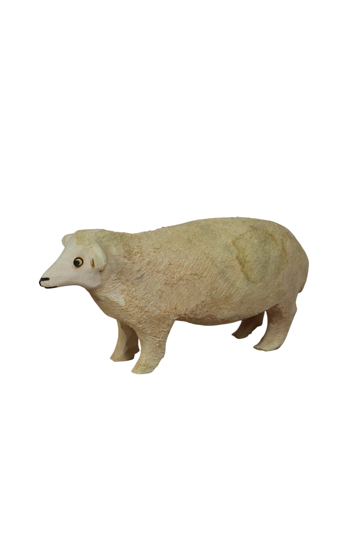 Swazi Sheep 141.1