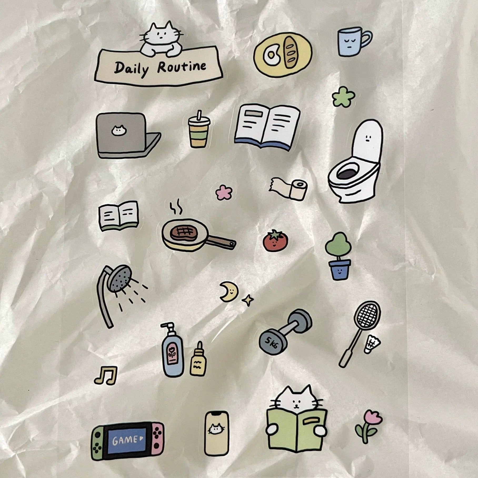 Twenty Two | Daily Routine