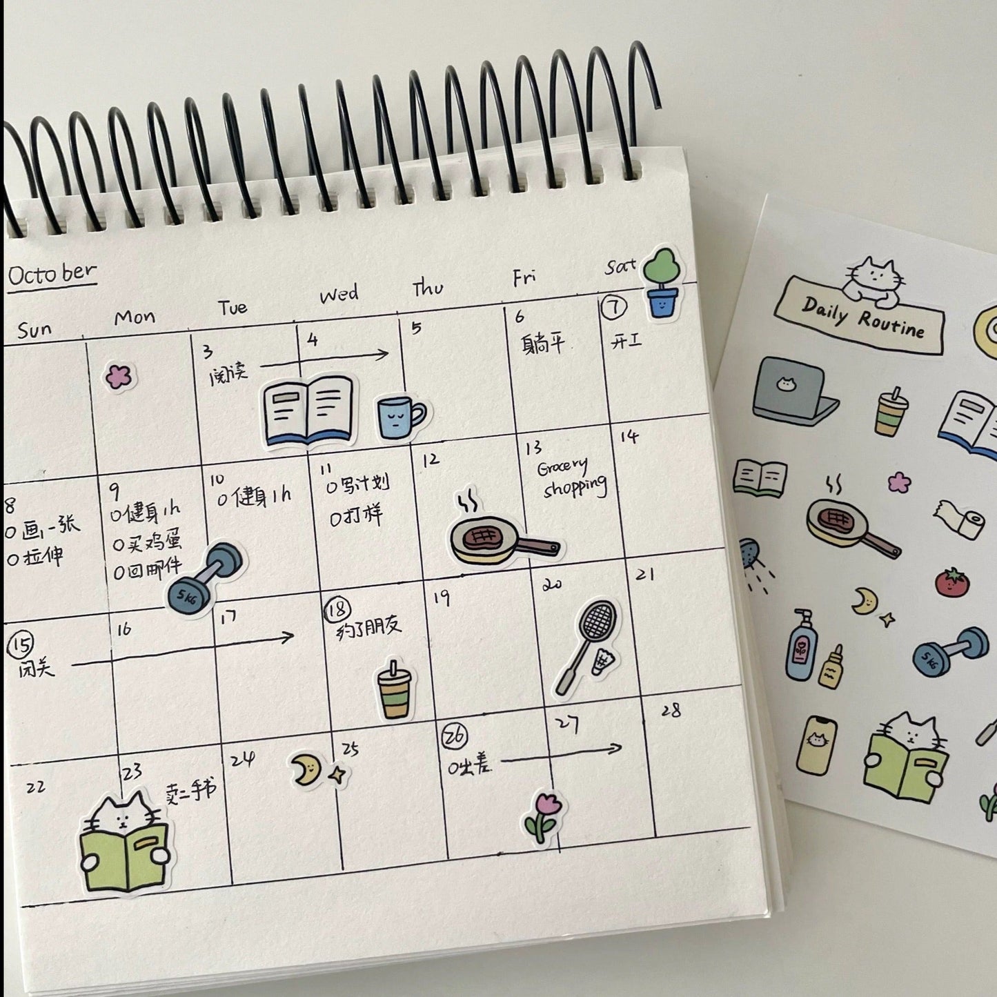 Twenty Two | Daily Routine