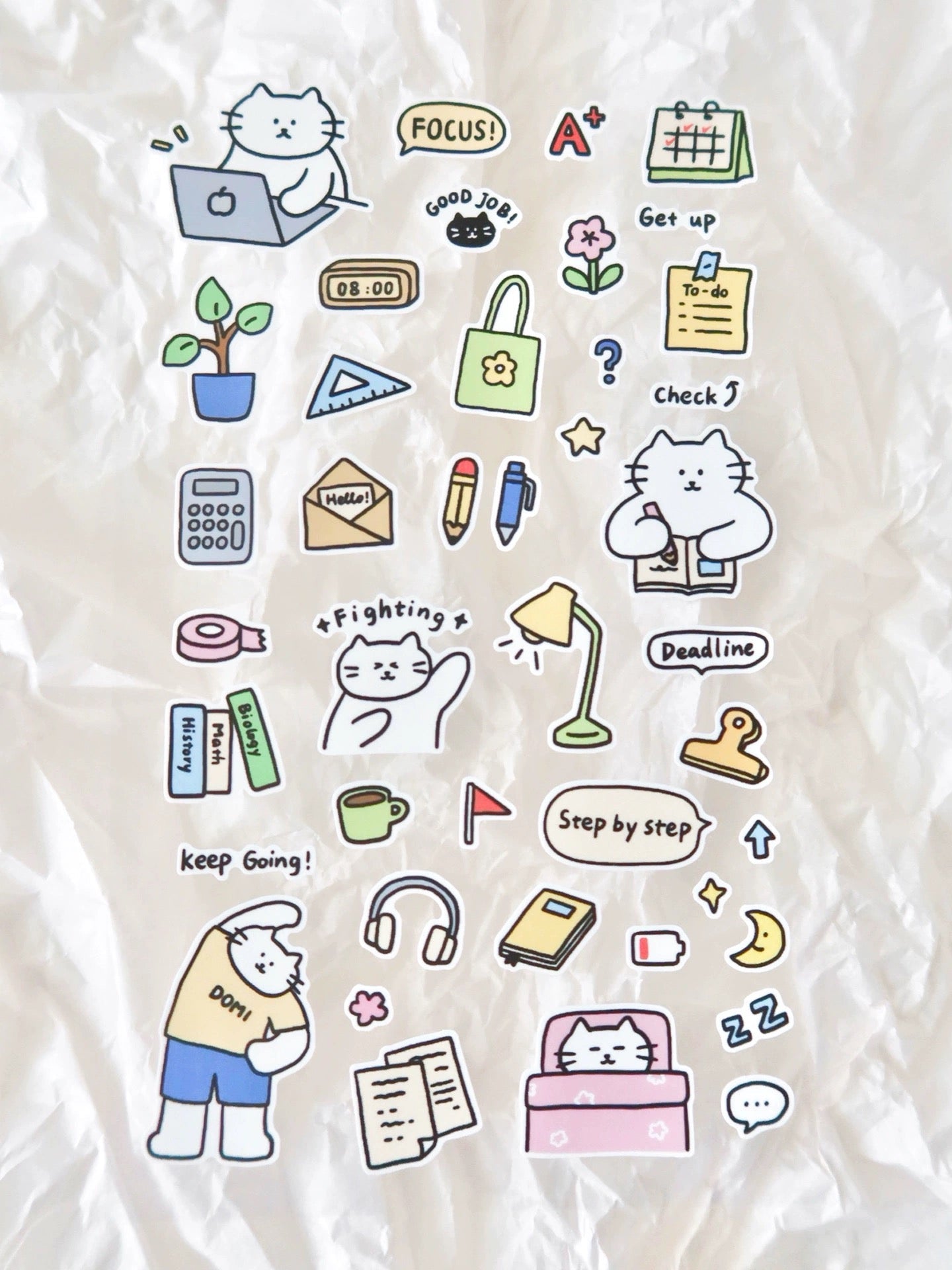 Twenty Two | Kitty Diary