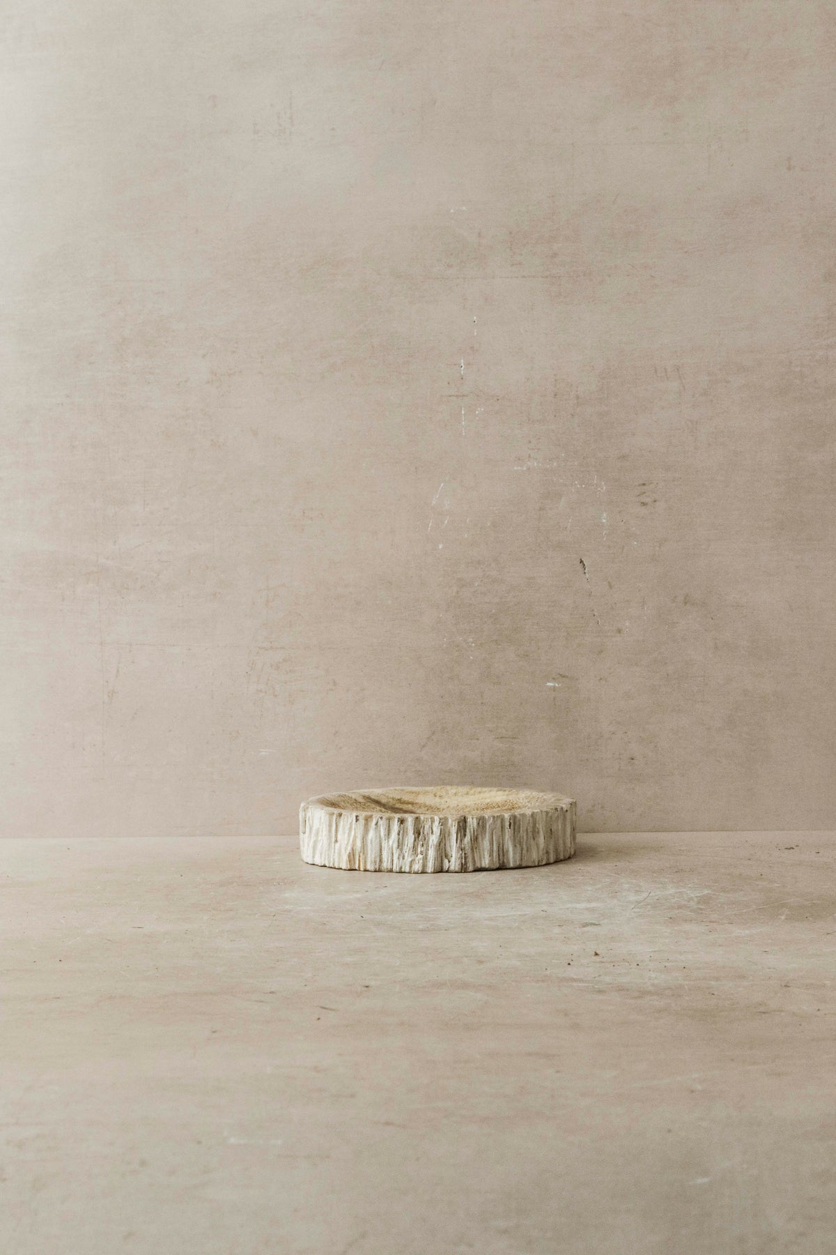 Petrified Wood Tray - 1