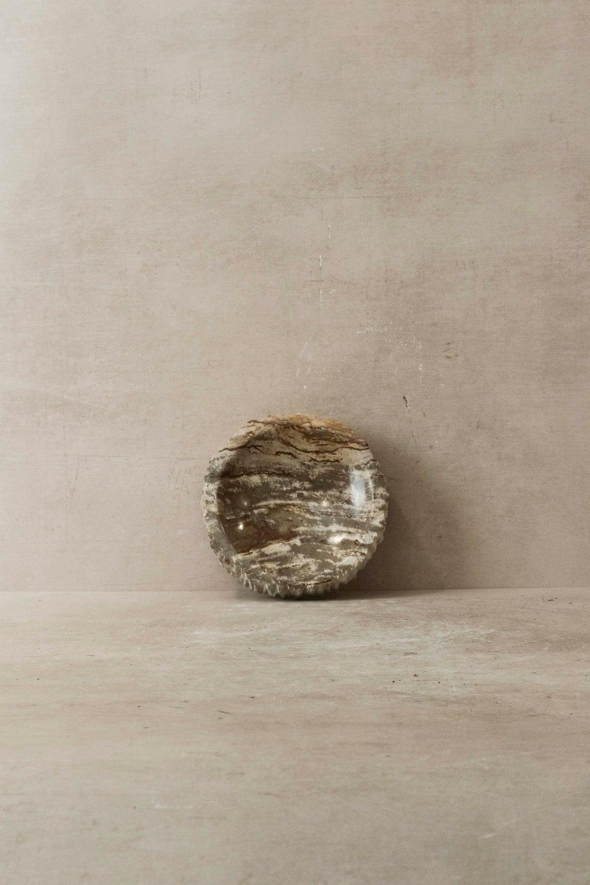 Petrified Wood Tray - 2