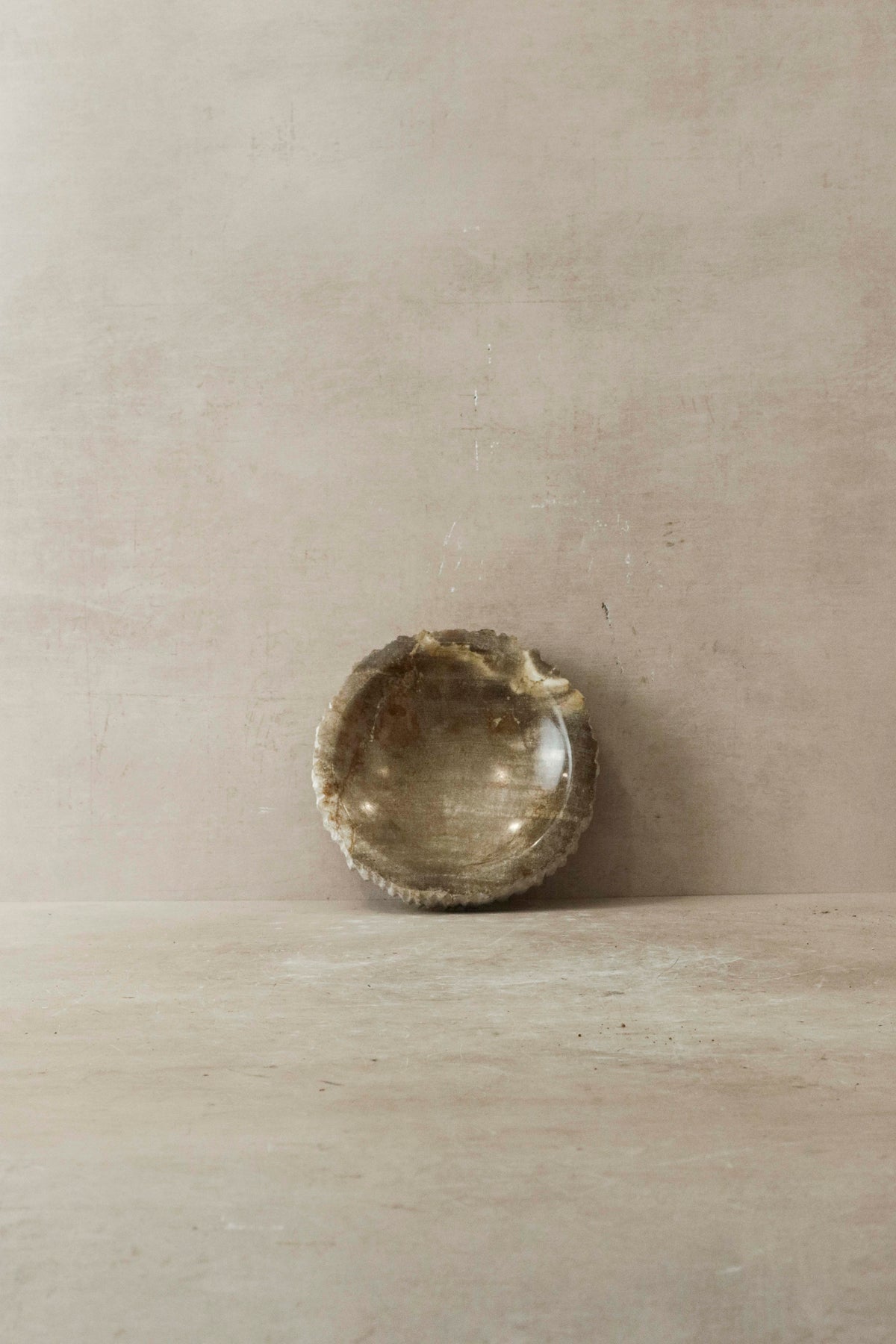 Petrified Wood Tray - 4