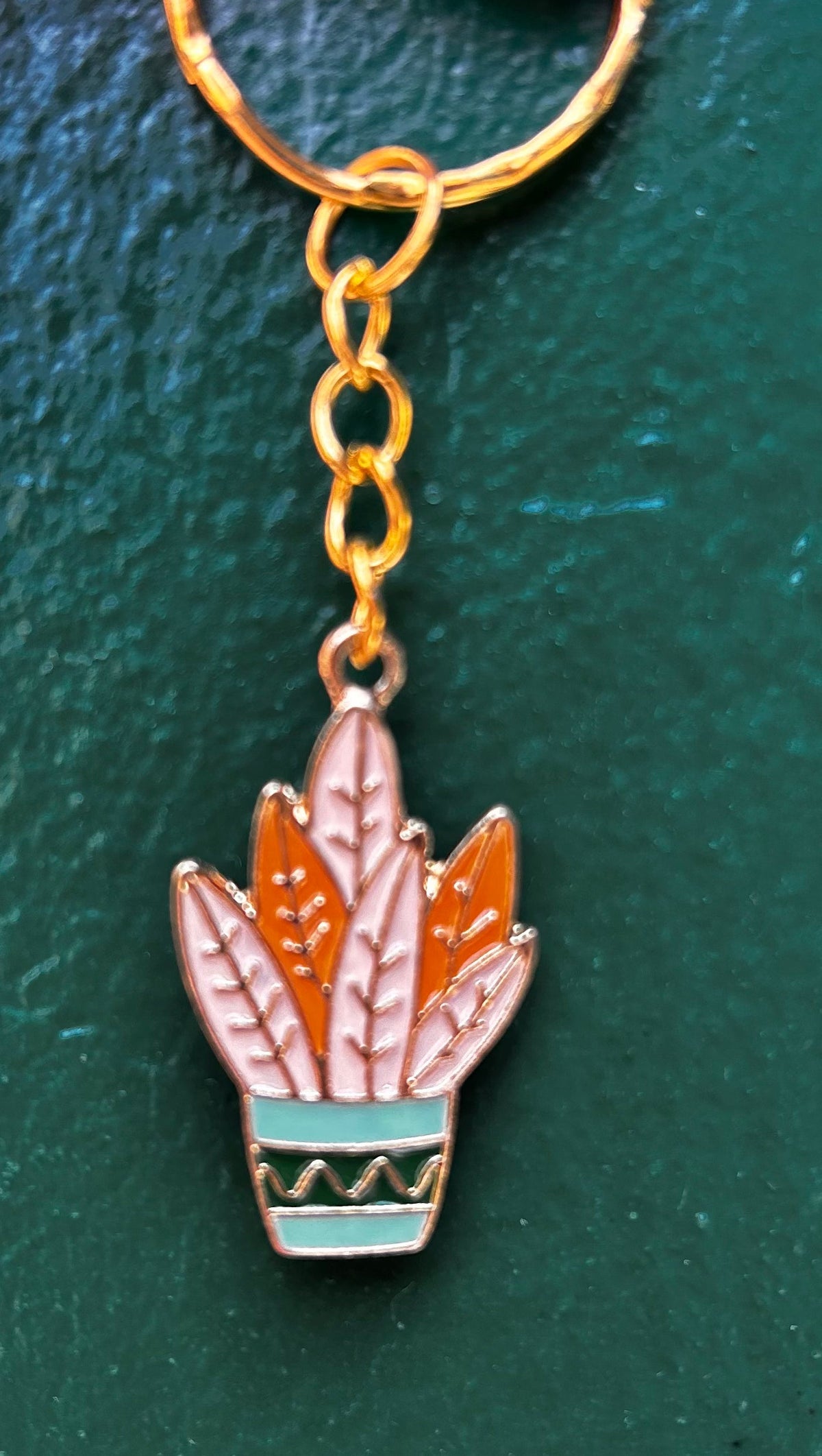 Houseplant Keyring's