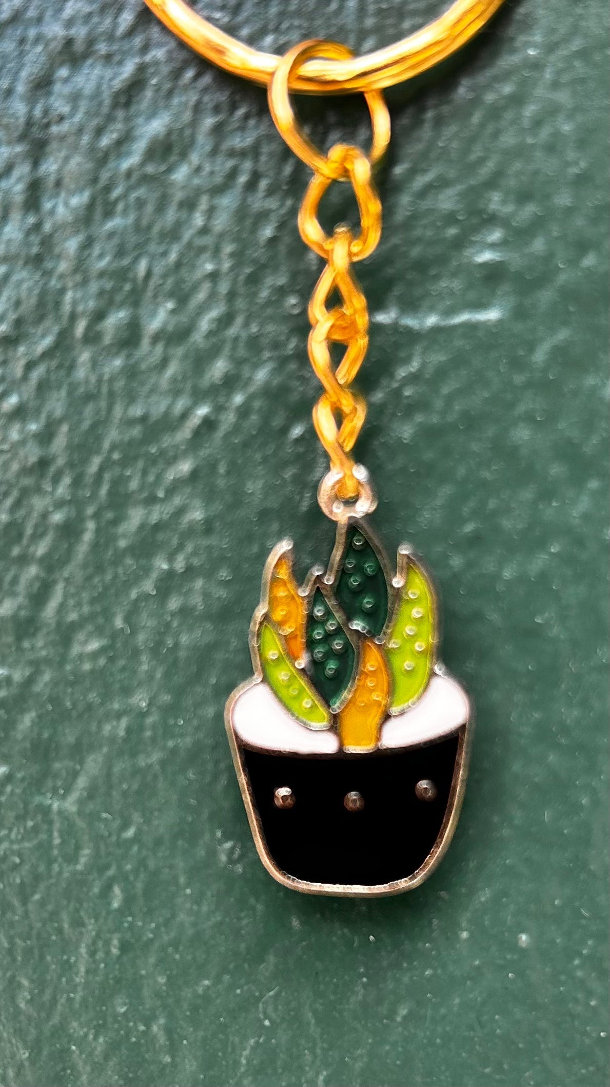 Houseplant Keyring's