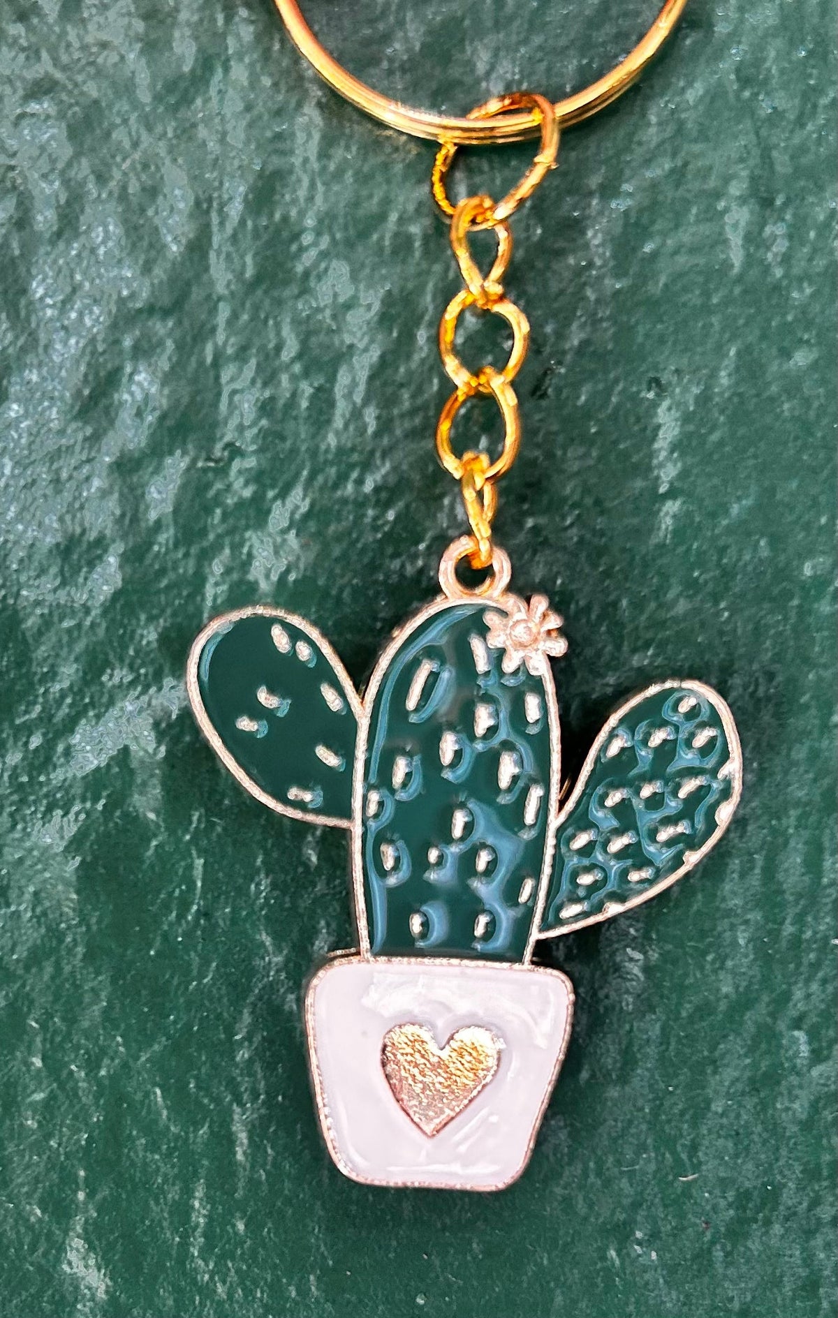 Houseplant Keyring's