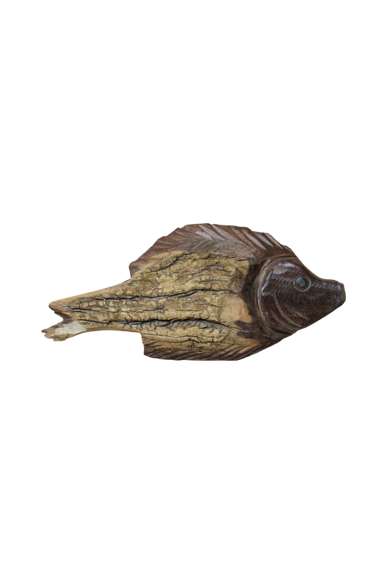 Driftwood Hand Carved Fish - 116.16