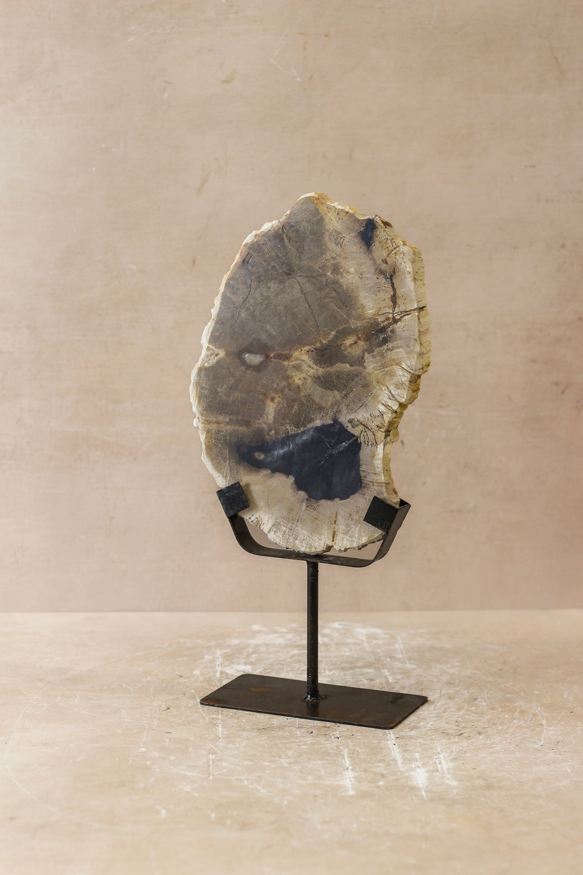 Petrified Wood Display - No 2