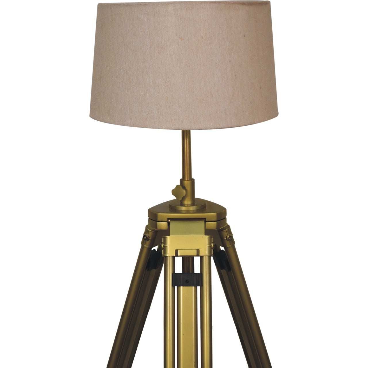 Brass Plated Modern Floor Lamp Stylish Home Decor Lighting
