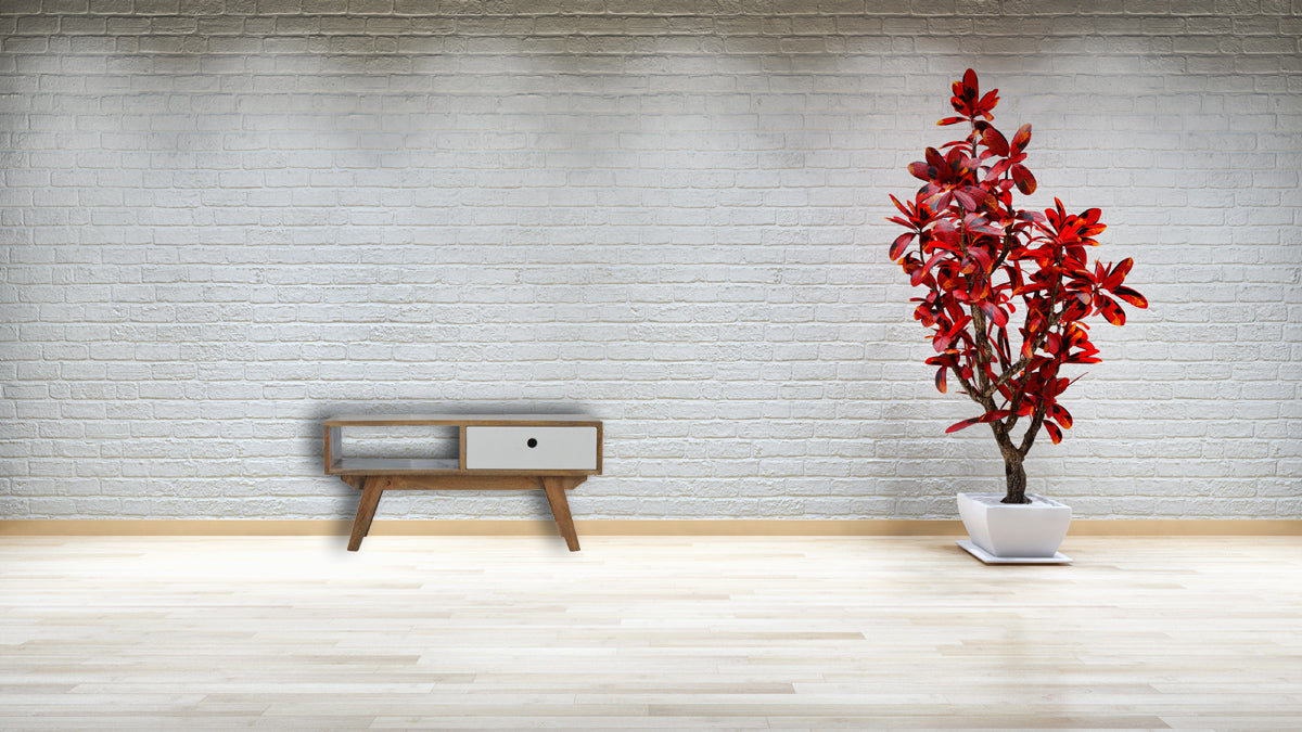 Two Tone Hand Painted Media Unit