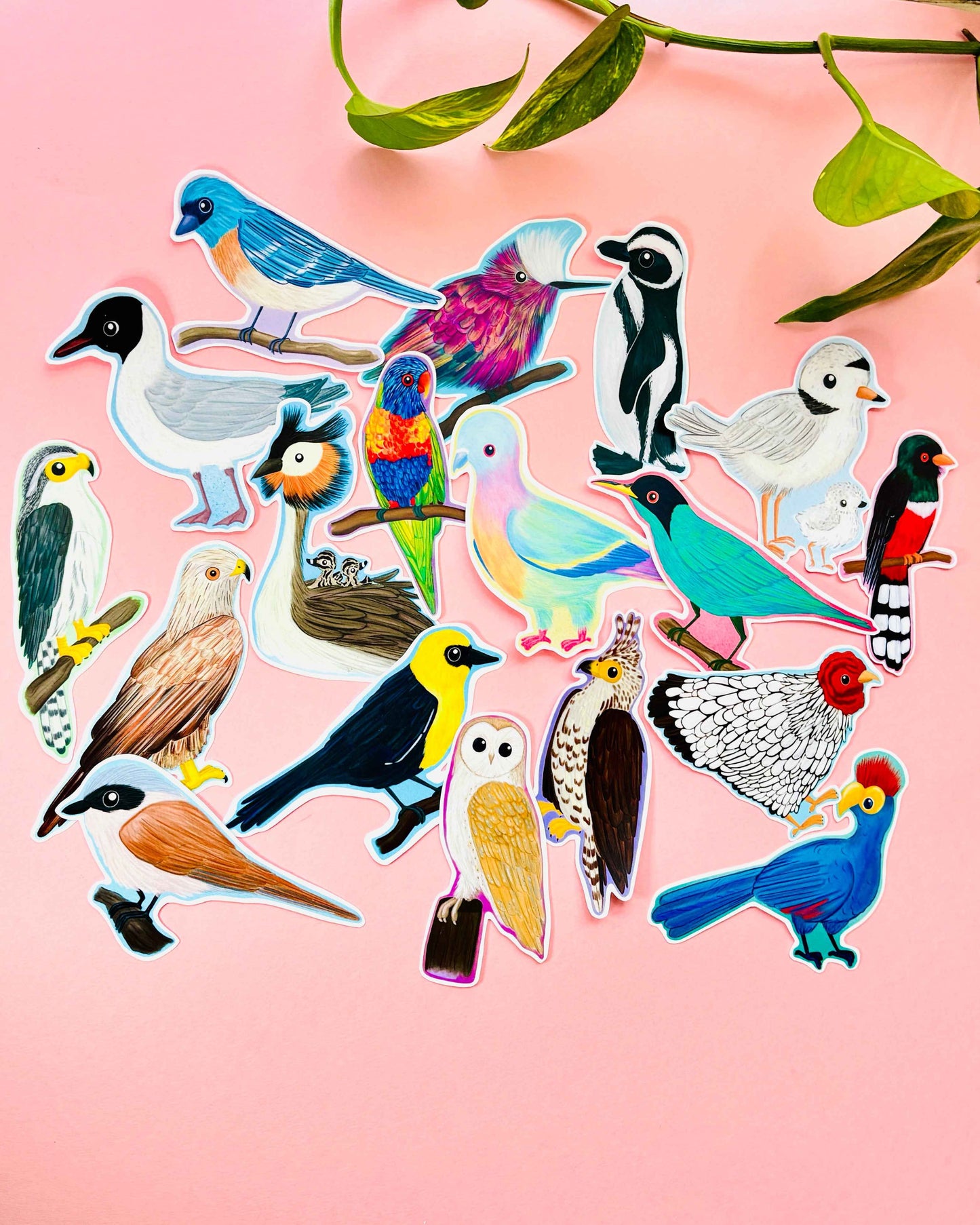 Birbfest 2025 Illustrated Birds 10cm Vinyl Sticker