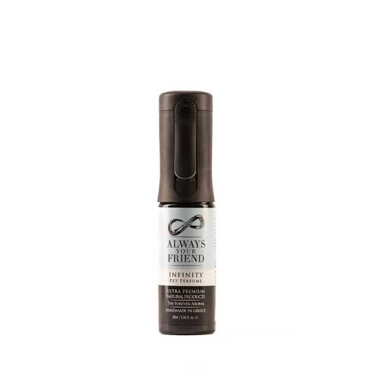 Always Your Friend Infinity Perfume - Long-Lasting Perfume Spray (90ml)