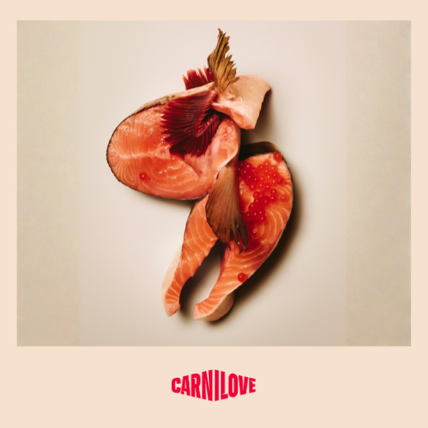 Carnilove Active Salmon & Turkey Large Breed Cat 2kg