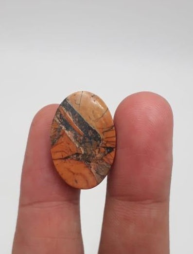 19.2ct Jasper - Maligano Jasper Cabochon - Jasper Maligano- 23x15mm