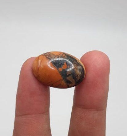 19.2ct Jasper - Maligano Jasper Cabochon - Jasper Maligano- 23x15mm