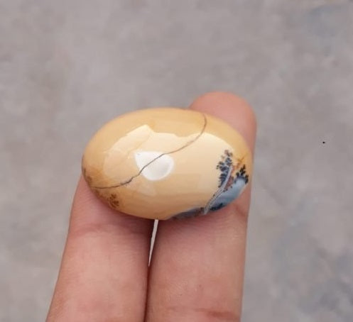 38.2ct Jasper - Maligano Jasper Cabochon - Jasper Maligano- 30x21mm