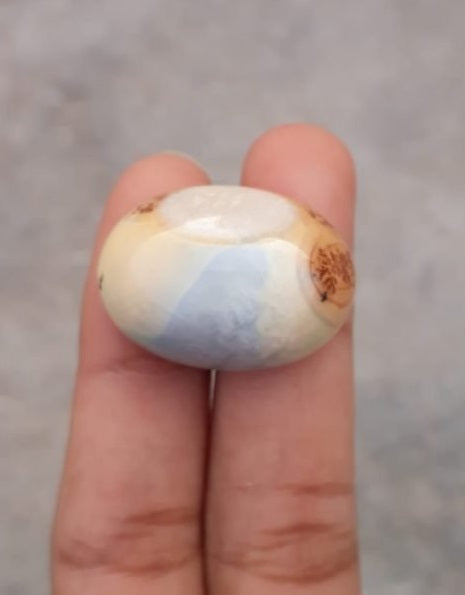 44.2ct Jasper - Maligano Jasper Cabochon - Jasper Maligano- 28x20mm