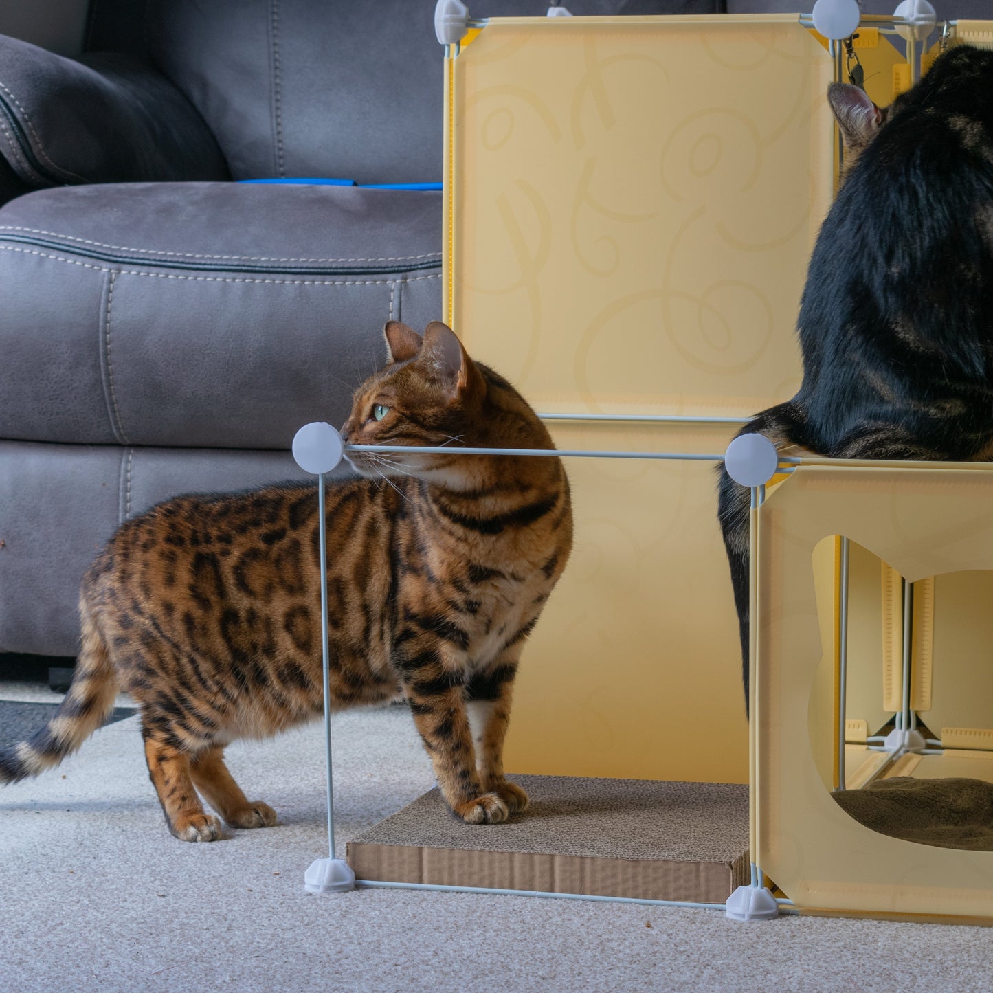 Kitty Cubby Cat Cube Play Tower MIDI Weatherproof Cover Pet and Pond Supply