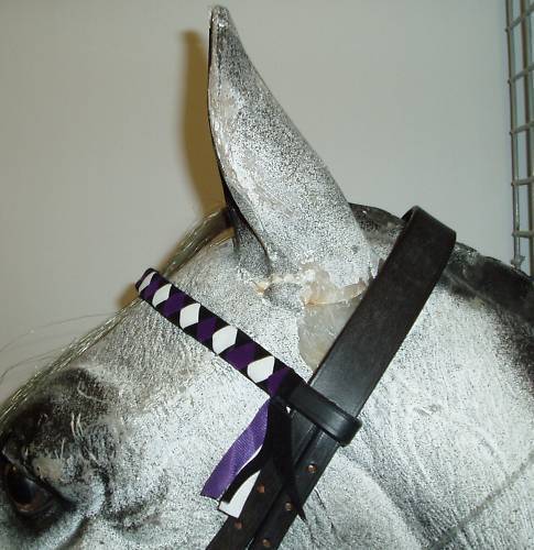 Velvet Browbands