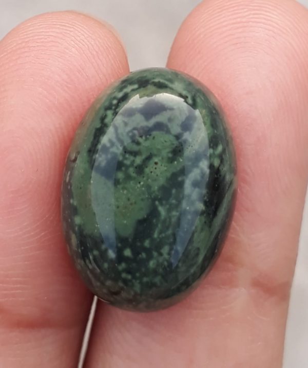 12.7ct Jasper - Kambaba Jasper Cabochon - Alligator Jasper - 13x18mm