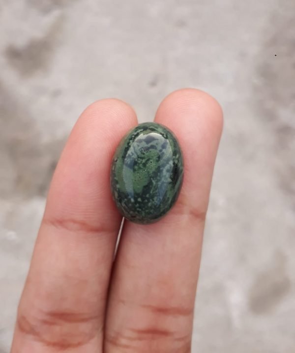 12.7ct Jasper - Kambaba Jasper Cabochon - Alligator Jasper - 13x18mm
