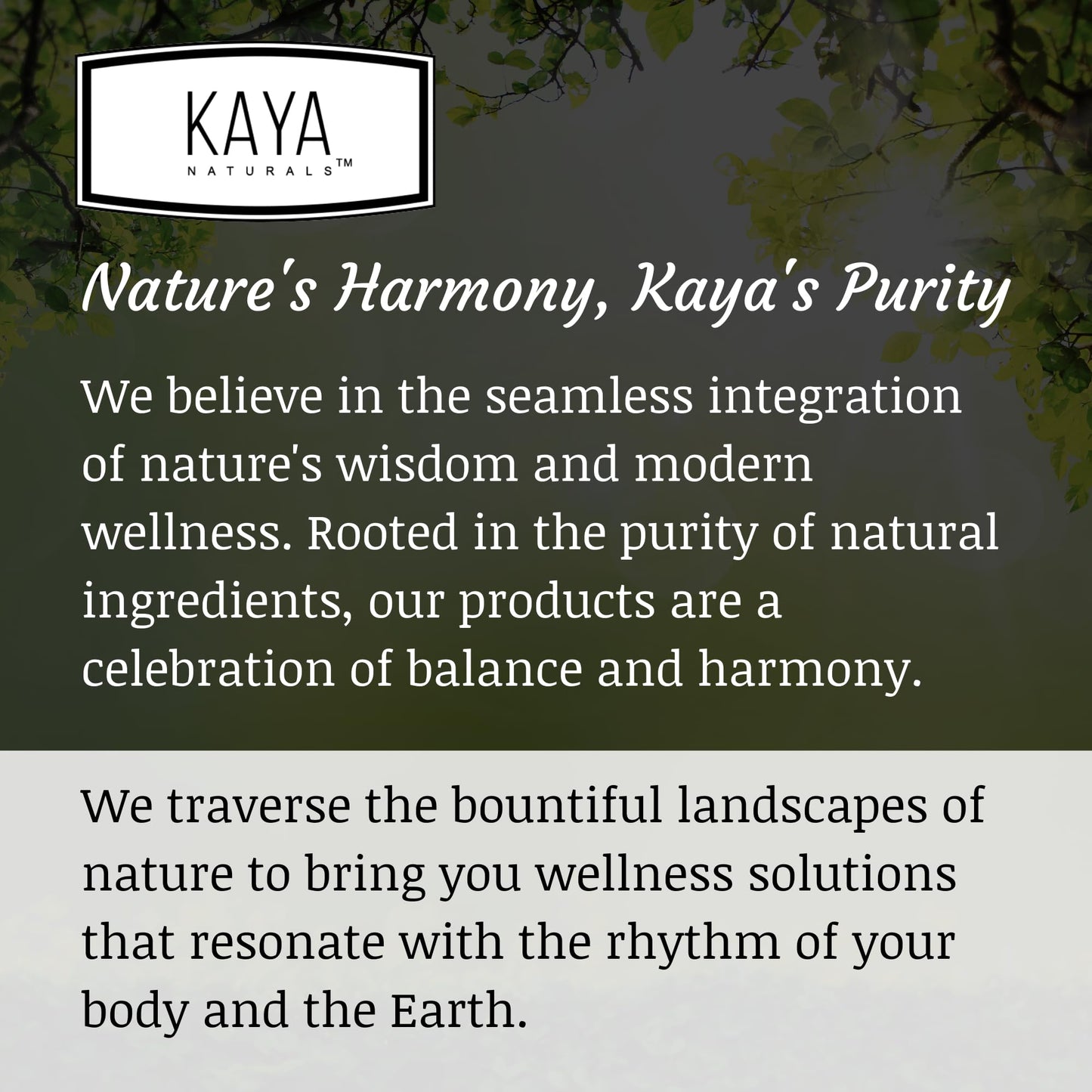 Kaya Naturals Digestive Enzymes with Prebiotics & Probiotics – 30 Veggie Caps