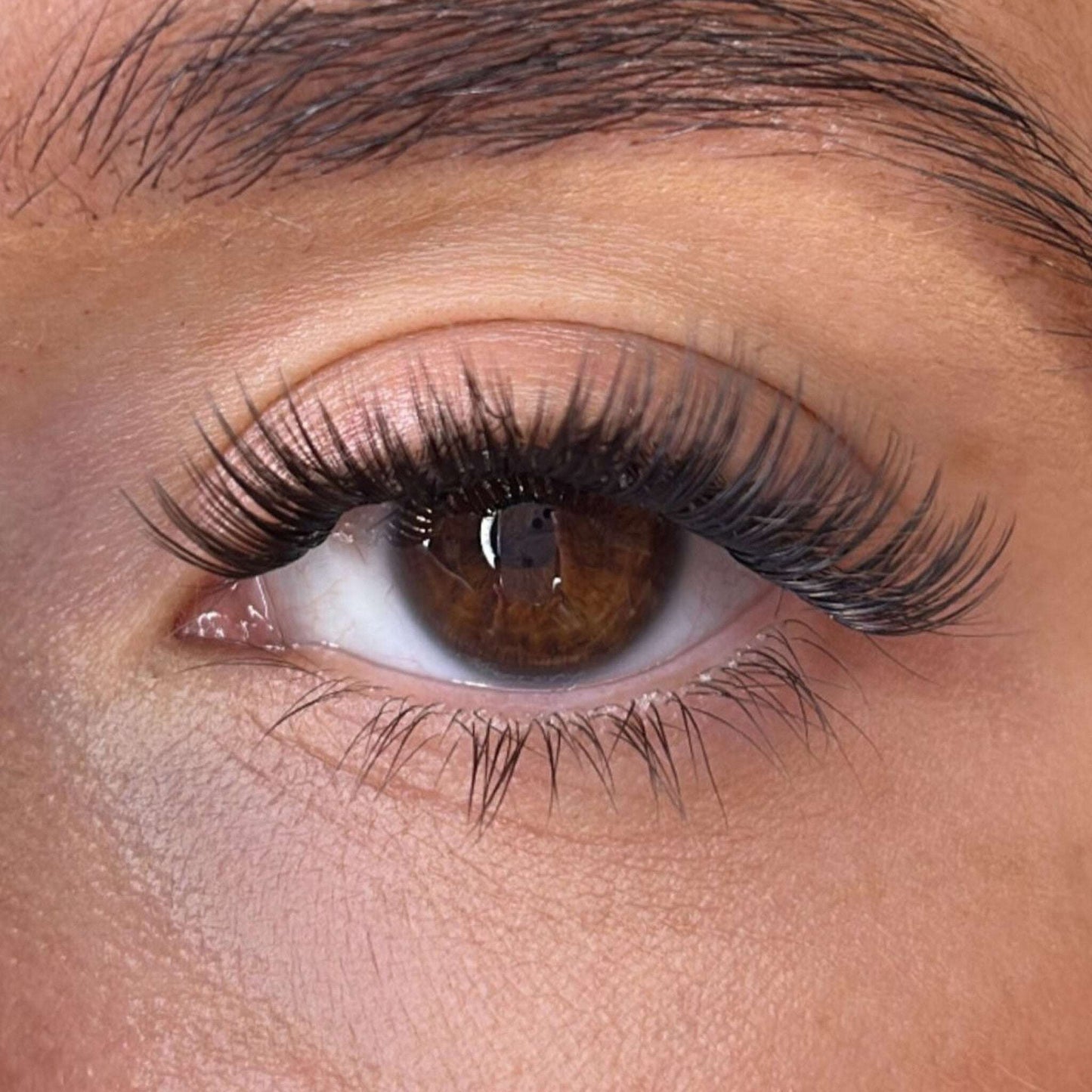 Keri Lash Ribbons® Collections
