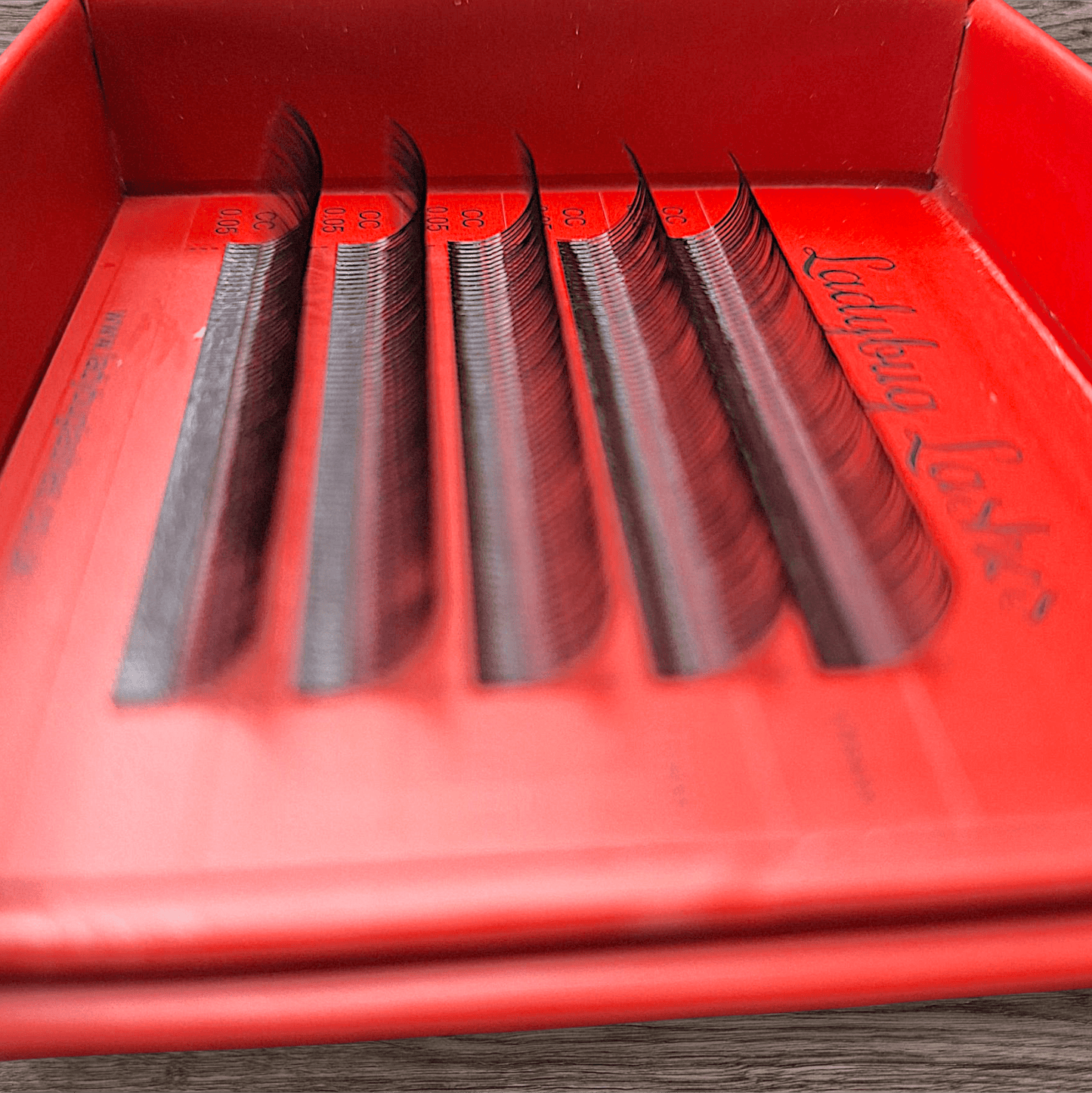 Sample Tray Pre-Made Angel Lash Fans