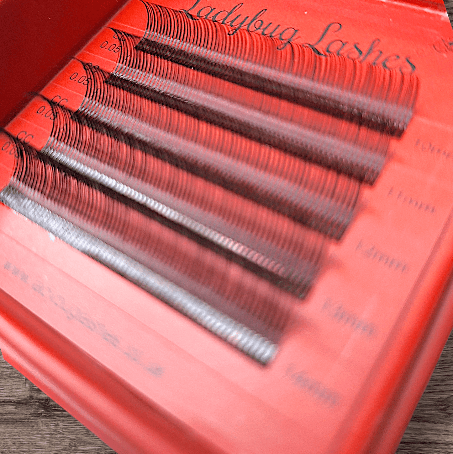 Sample Tray Pre-Made Angel Lash Fans