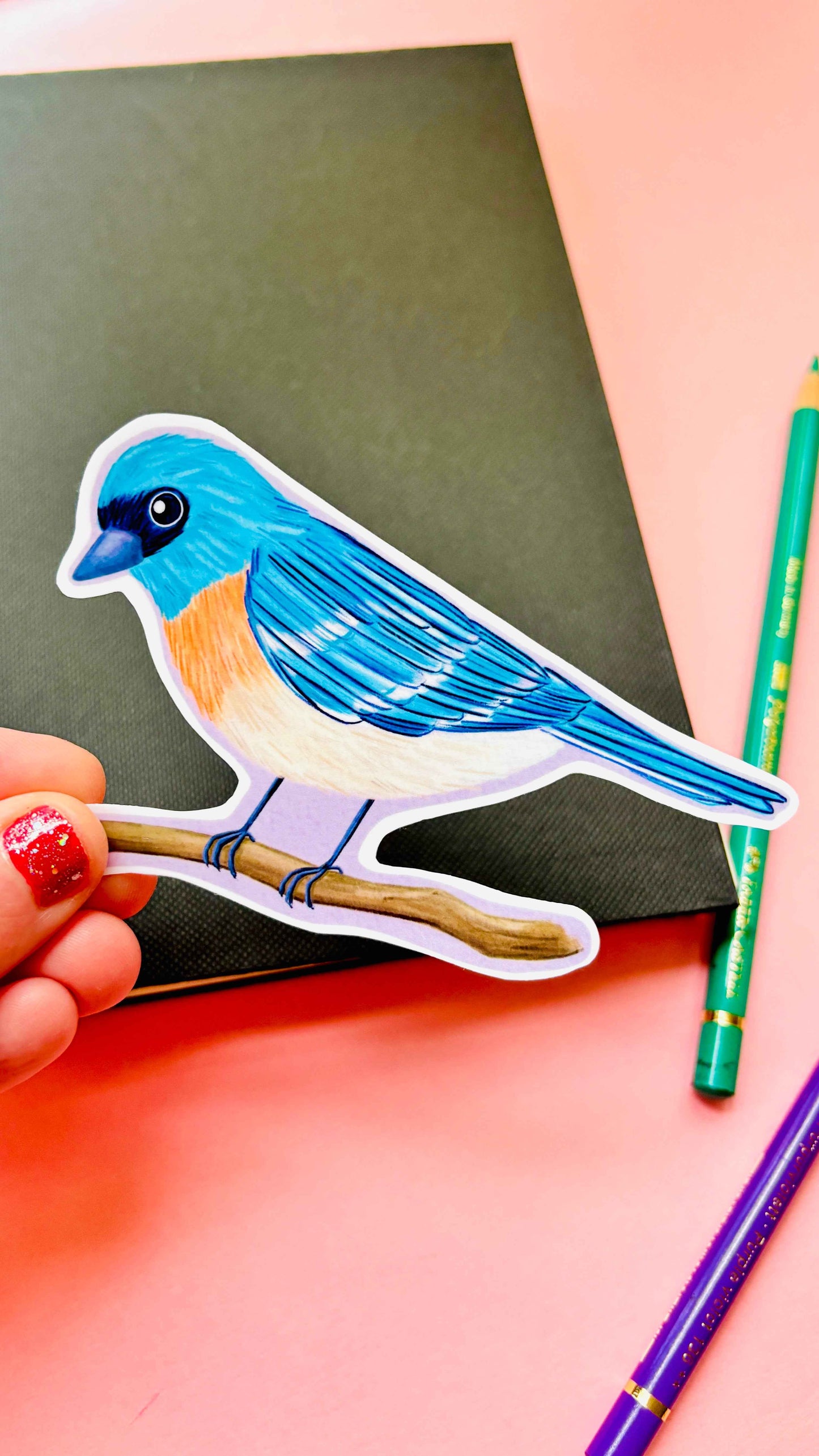 Birbfest 2025 Illustrated Birds 10cm Vinyl Sticker