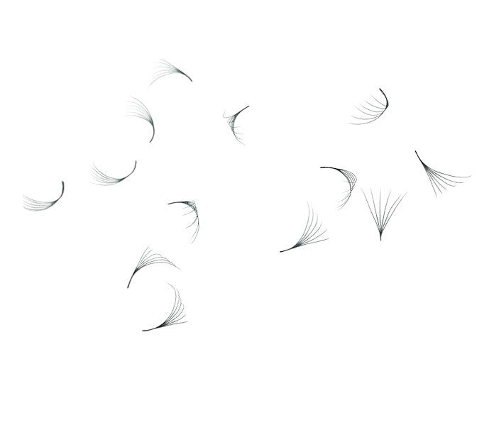 Loose Promade Premade Fans Mixed Box Smaller Sizes