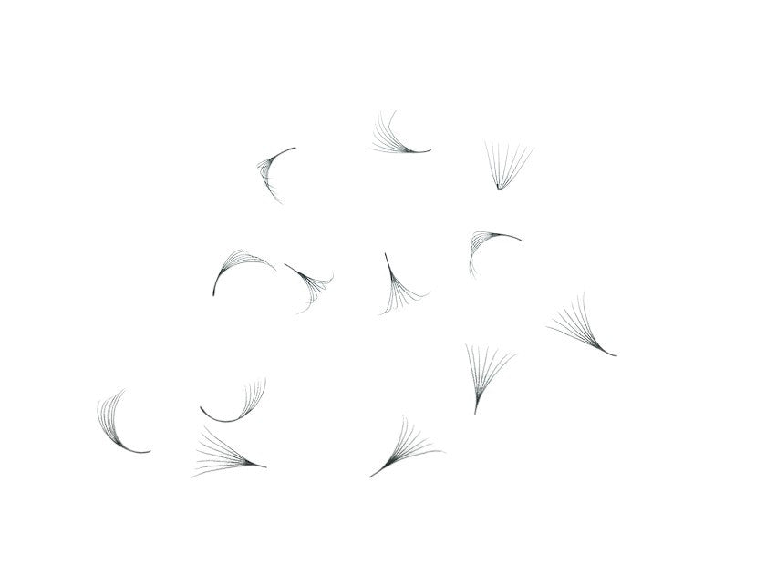 Loose Promade Premade Fans Mixed Box Smaller Sizes