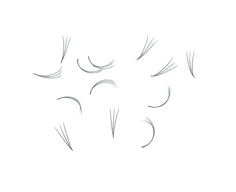 Loose Promade Premade Fans Mixed Box Smaller Sizes