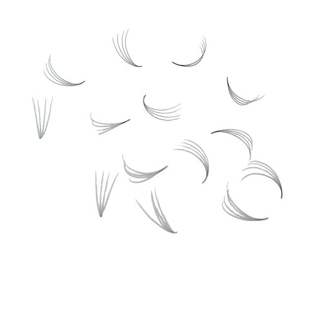 Loose Promade Premade Fans Mixed Box Smaller Sizes