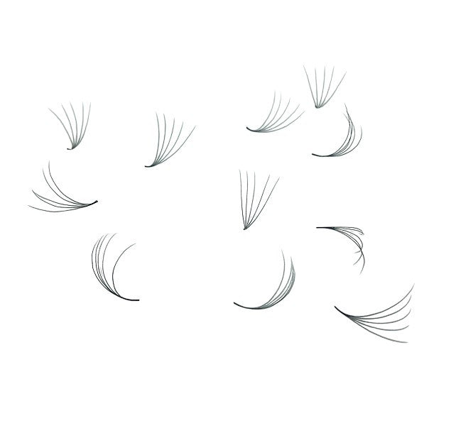 Loose Promade Premade Fans Mixed Box Smaller Sizes