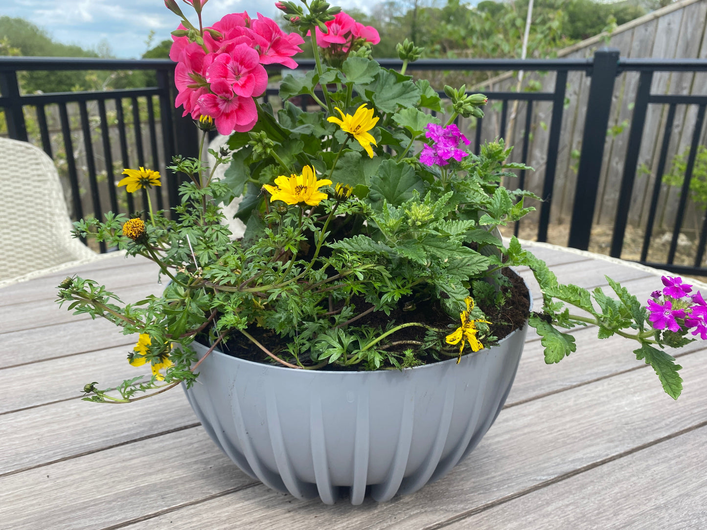 Mira Bowl Pot, Insert and Hole With Plug 240mm Gray